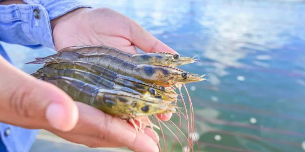 Flo-Gro was established in 2011 to capitalize on the growing appetite for British-produced seafood.