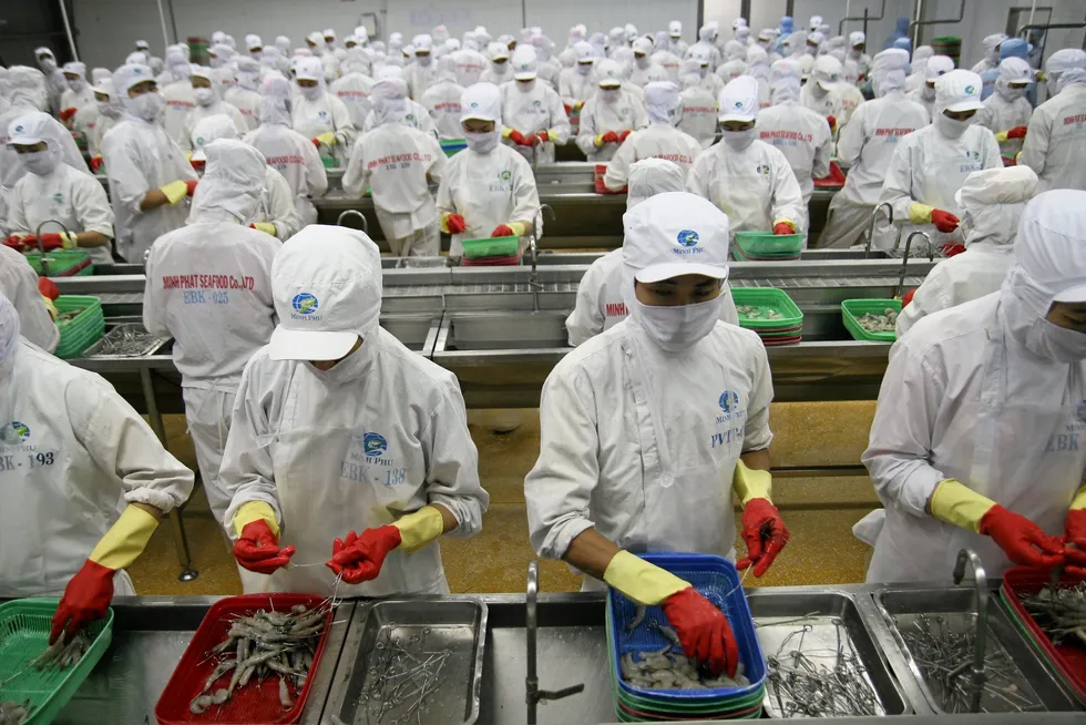Minh Phu Seafood has a plan to make Vietnam's shrimp raw material prices equal to those of Ecuador by 2030.