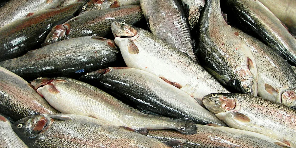 A projected fall in pink salmon harvests lead the decrease for Alaska's 2020 season.