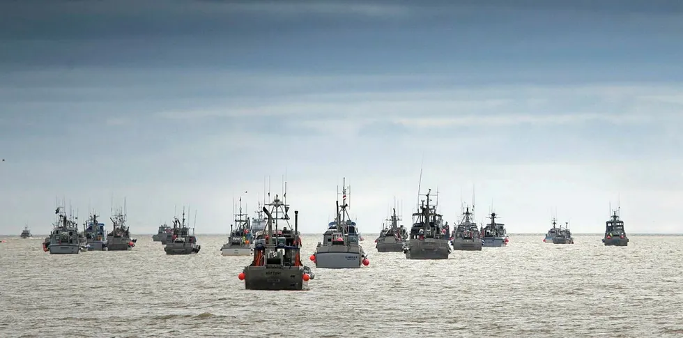 Fishing boats on Bristol Bay. The wild salmon fishing season looms, with COVID-19 hovering above it all.