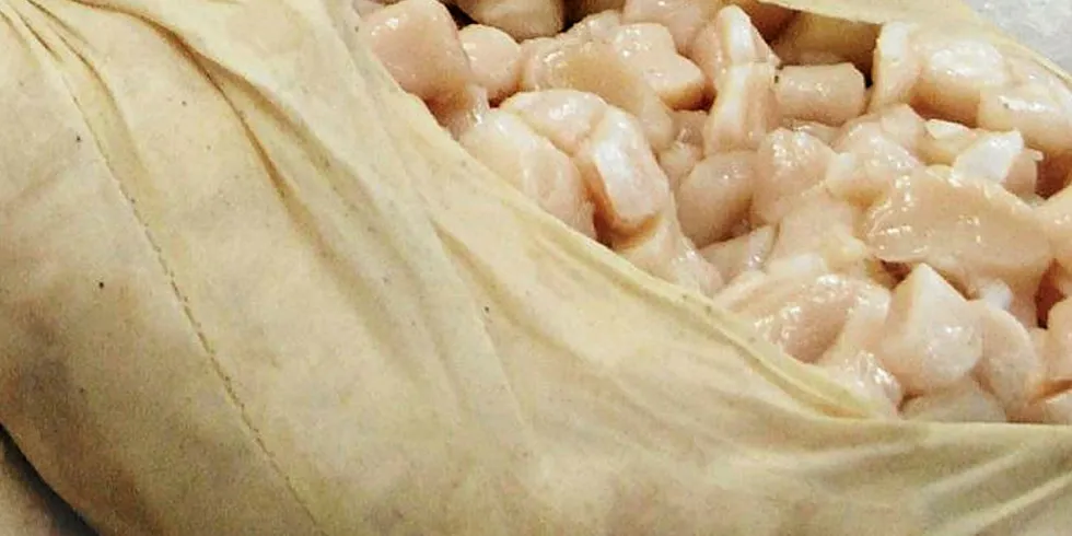 Scallop landings are projected to be slightly down from 2019, heading into next year.