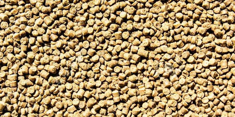Shrimp feed.