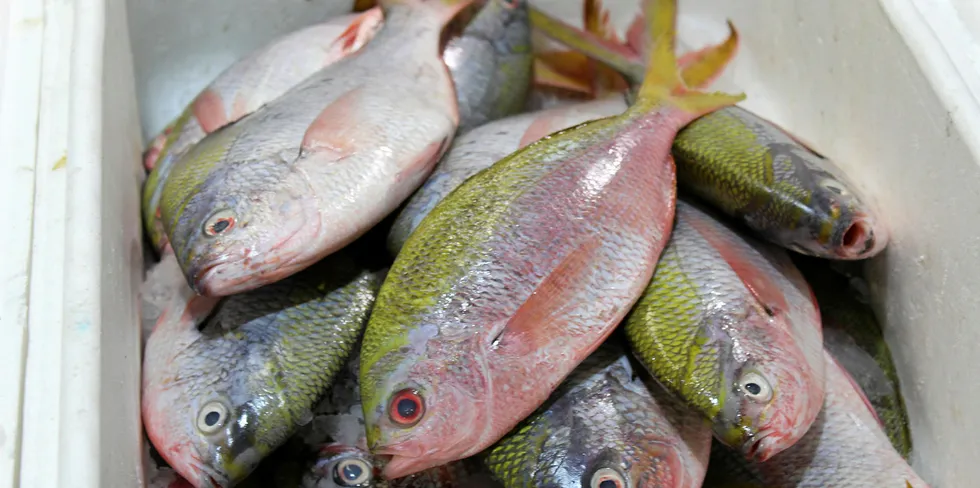 Billingsgate market