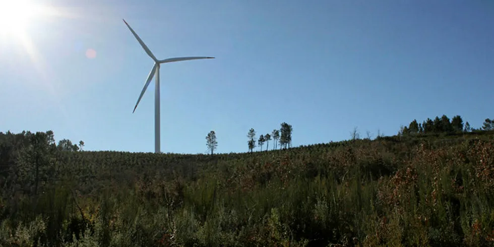 Confident in the future: Suzlon