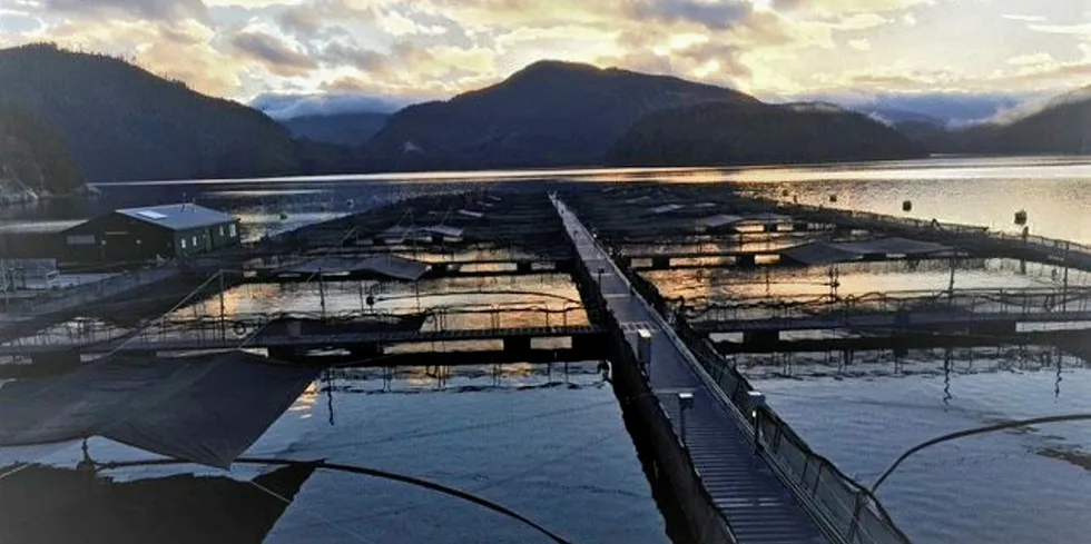 Clio Channel salmon farm for Grieg.