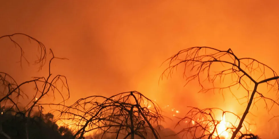 Mowi threatens action over Amazon fires.