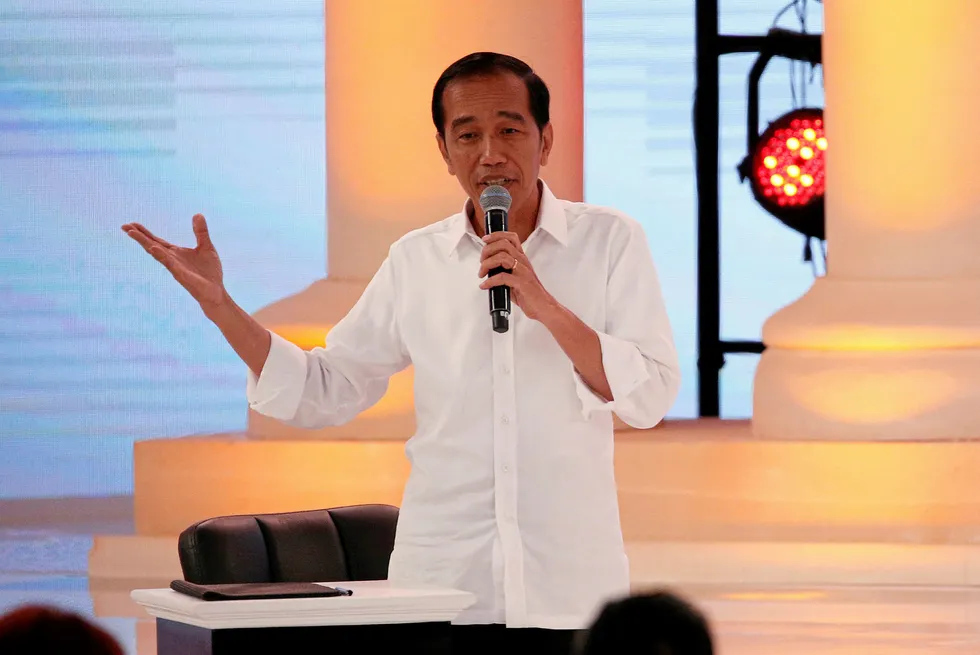 Progress: Indonesia's newly re-elected President Joko Widodo