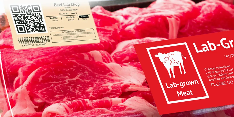 More countries are paving the way for the sale of cell-cultured meat and seafood.