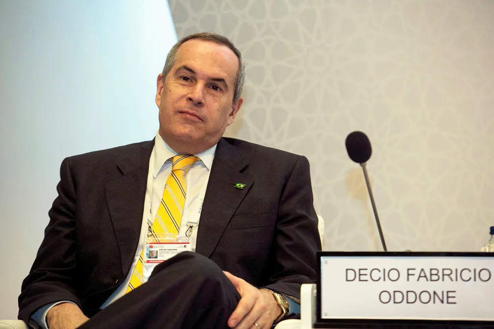 Potential investment: ANP director general Decio Oddone