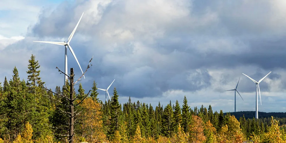 Bjorkhojden wind farm in Sweden that features Siemens Gamesa turbines