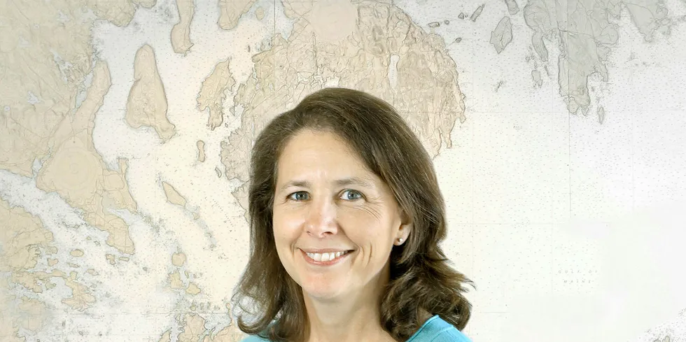 Marianne LaCroix is MLMC's new interim executive director.