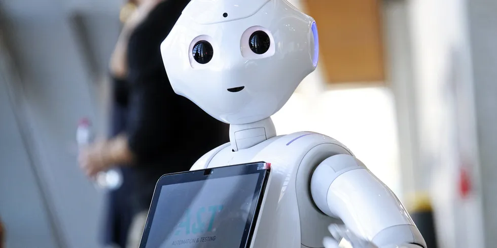 Your new colleague? The seafood processing industry is being shotgunned into a new era of automation.