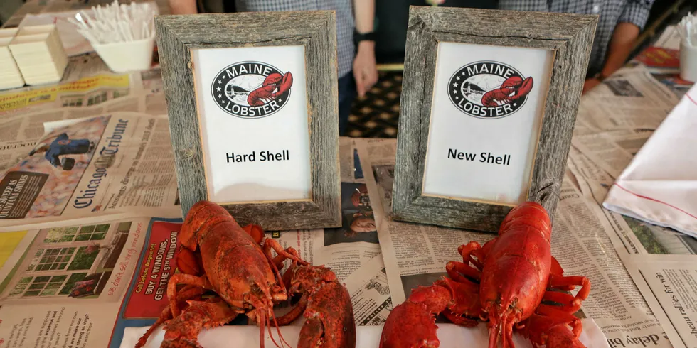 Maine is seeing demand for lobster tails this year.
