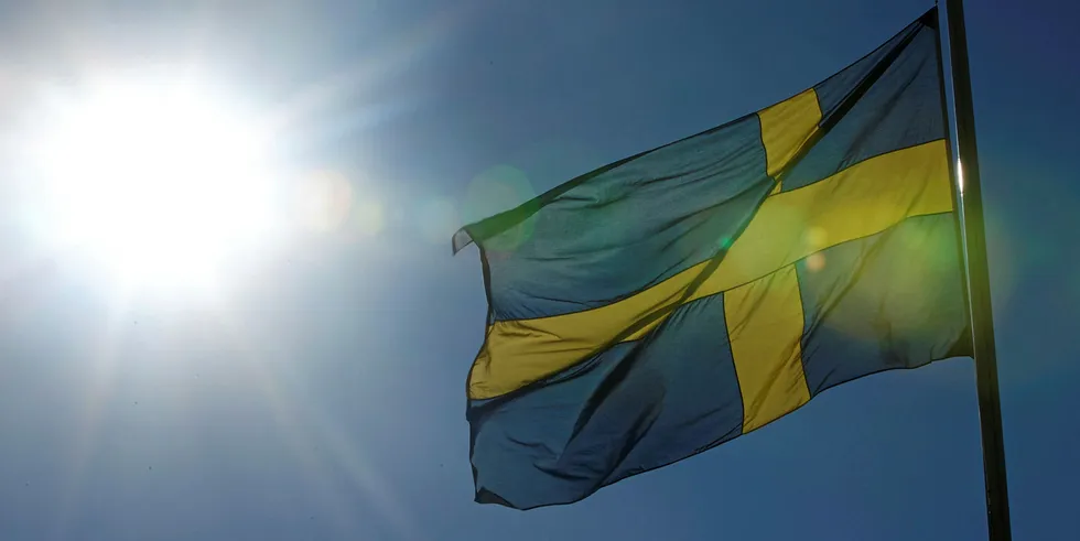 The Swedish flag