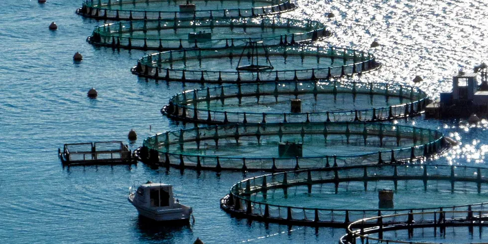 Avramar was formed through the mega-merger of Greek companies Andromeda, Nireus, Selonda, and Perseus between 2019 and 2020.