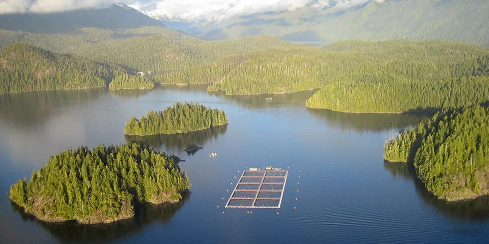 A move to land-based salmon farming won't happen anytime soon, report says.