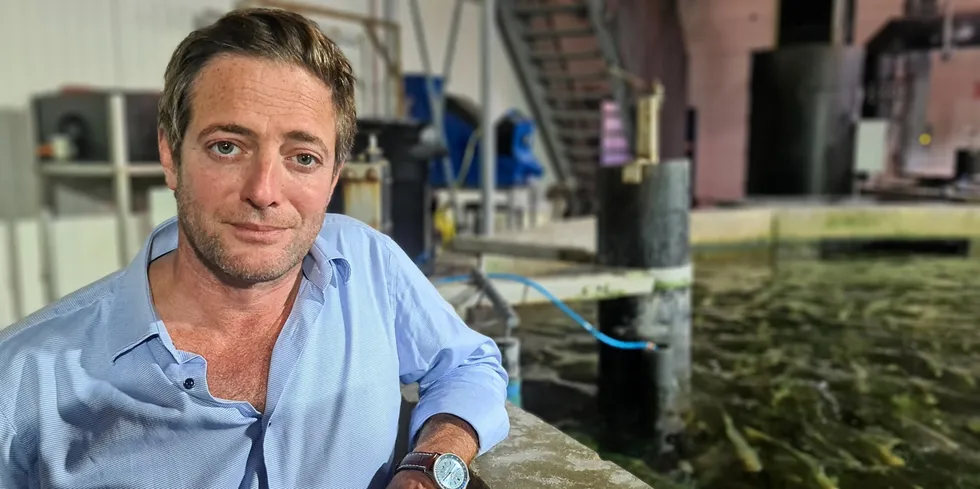 Former KingFish CEO Ohad Maiman helped launch a land-based facility in the Netherlands. Now the company's land-based yellowtail facility in Maine is ready for pre-construction.