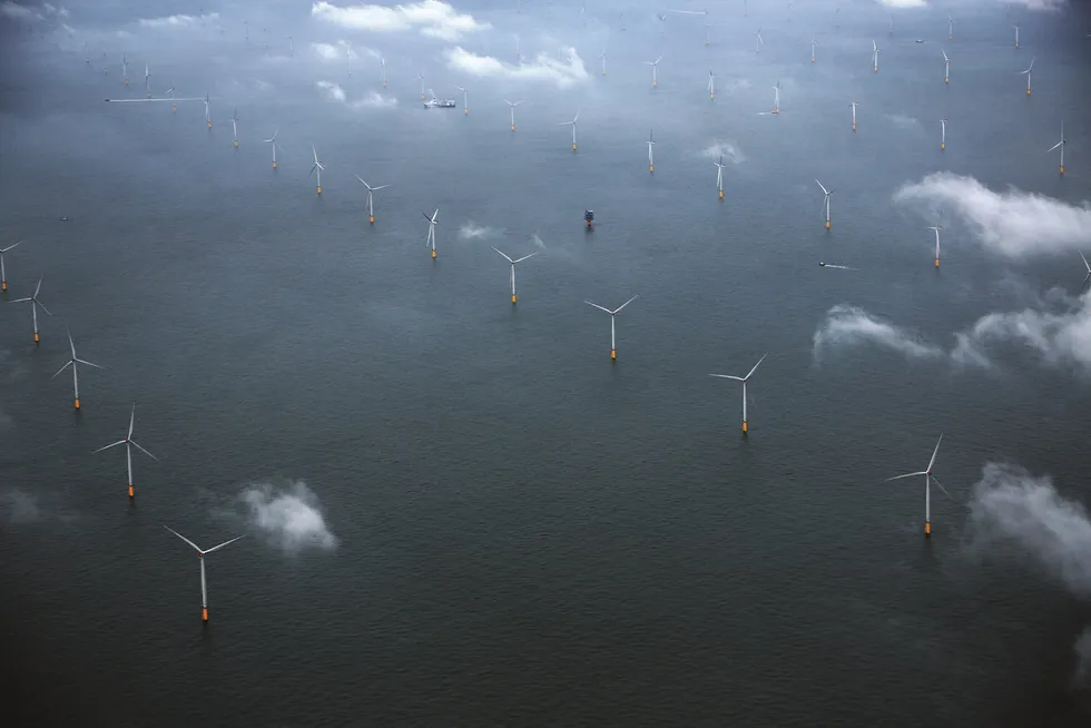The London Array wind farm.