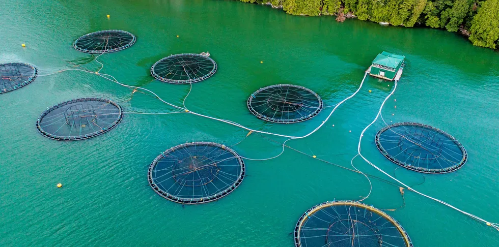 One of Mowi's facilities in British Columbia, western Canada.