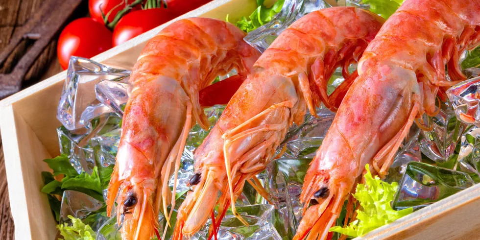 The researchers aim to replicate the look and taste of real prawns.