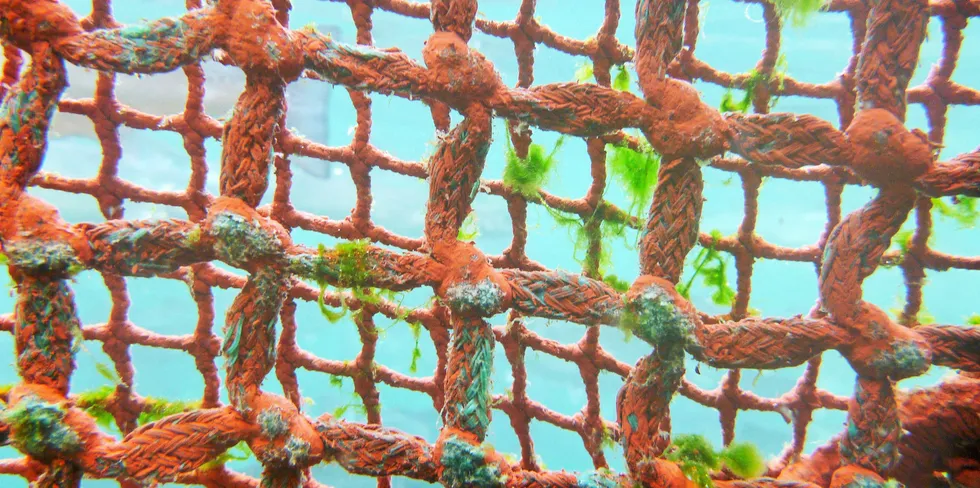 The Norwegian state administrator refers to the use of copper as "very serious" and a "clear breach of conditions."