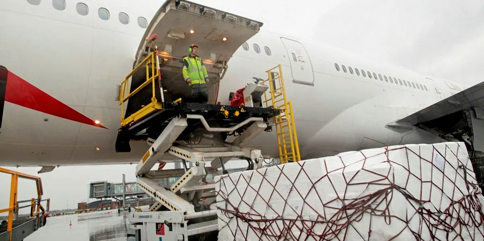 Norwegian salmon is loaded into the hold of a passenger plane in Oslo.