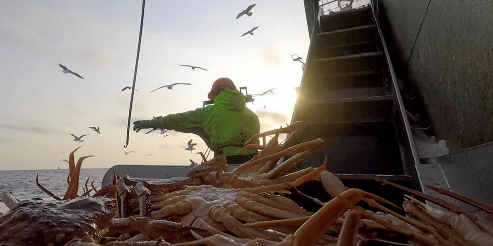 Crab is the most profitable species in the Russian fishing industry. In 2021, crab sales accounted for around 42 percent of export earnings to the domestic fishing industry, according to the All-Russian Association of Fisheries (VARPE).