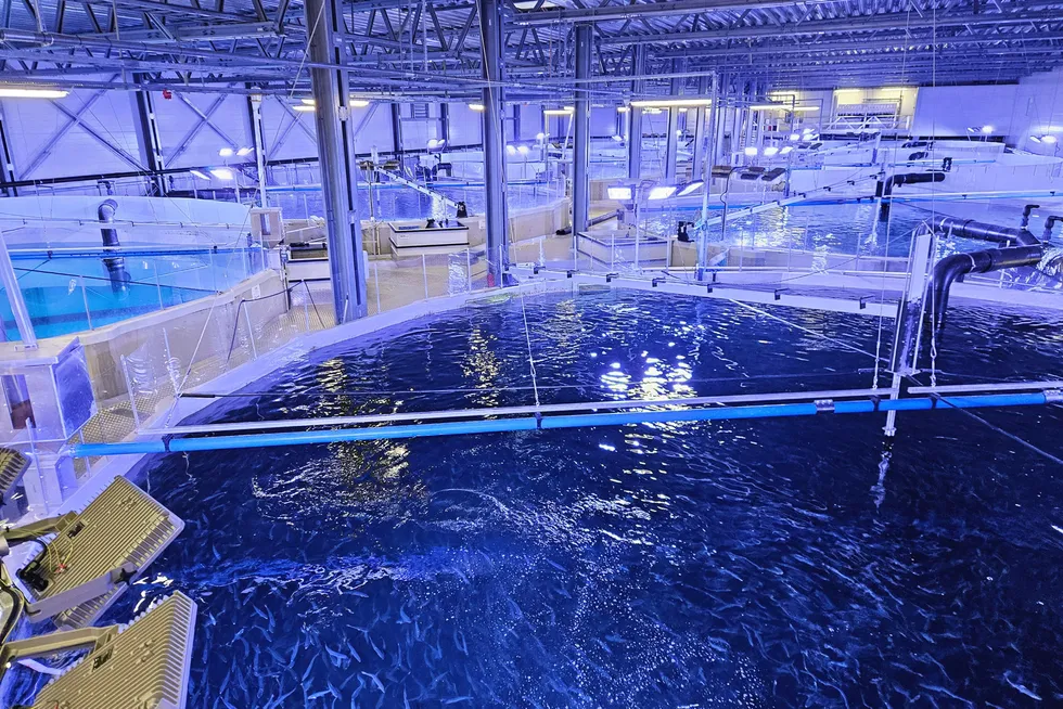 Mowi's hatchery and post-smolt facility in Norway is the world's largest hatchery facility. It is built on RAS technology from Akva Group.