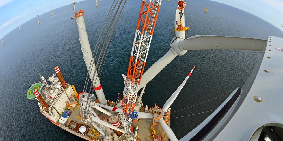 Bold Tern installer working on Wikinger wind farm off Germany