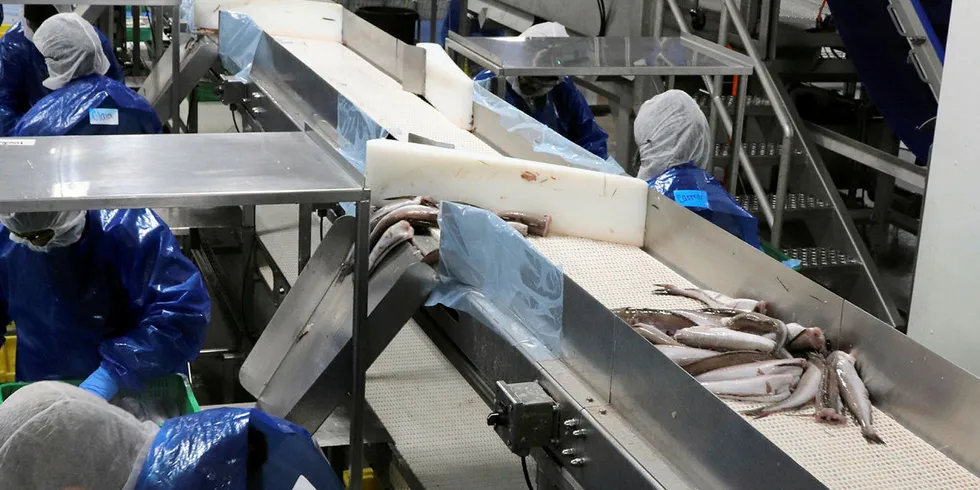 Tim Horgan was instrumental in the development of Pacific Seafood's processing operations.