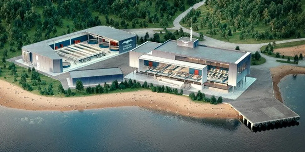 American Aquafarms is proposing sites for a hatchery, fish farm facilities, and a state-of-the art processing plant in coastal Maine.