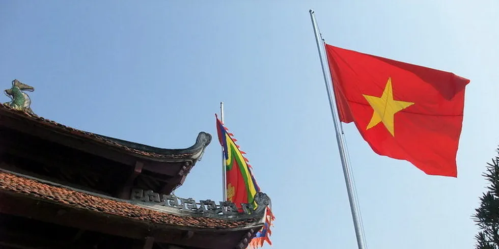 . Vietnam flag.
