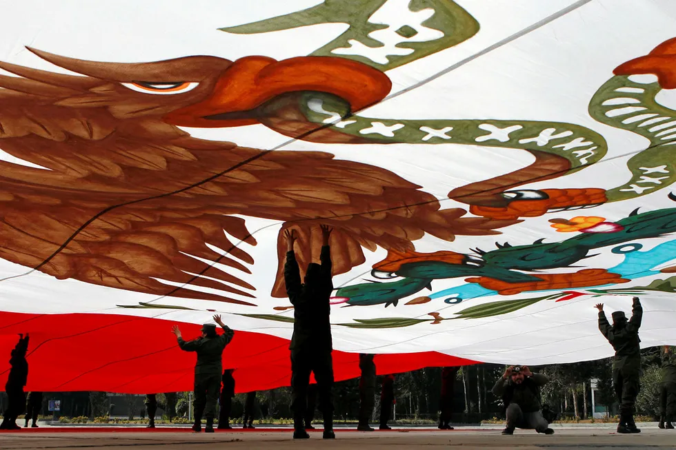 Flag day: Renaissance Oil, headed by chief executive Craig Steinke, is expanding its portfolio in Mexico