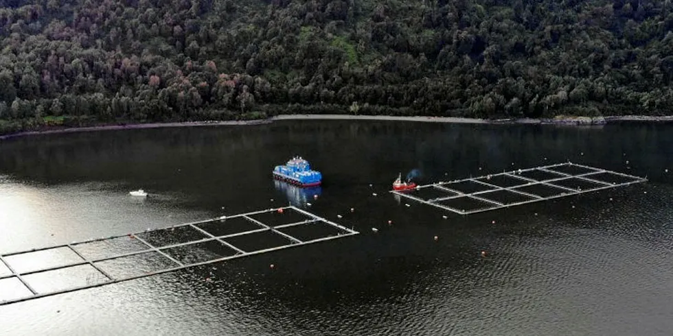 The project aims to detect sea lice, SRS and pharmaceutical discharges in and around salmon production sites in Chile.