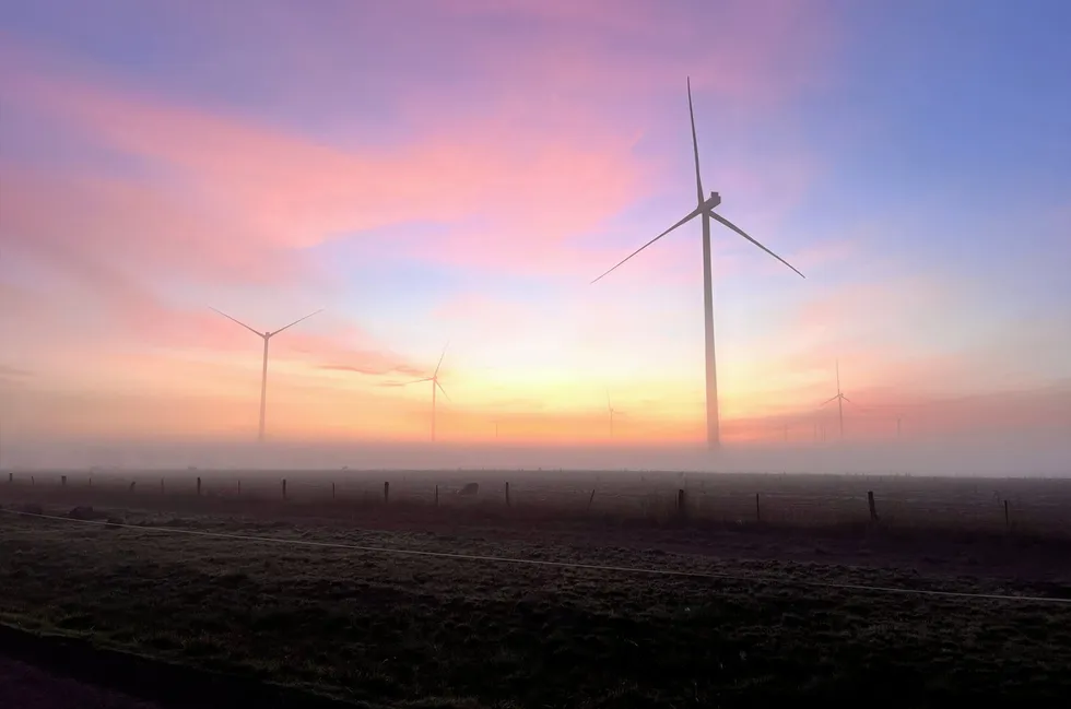 Turbines at Golden Plains phase 1.