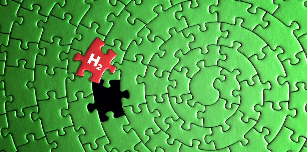 Helping make sense of the hydrogen puzzle facing the world.