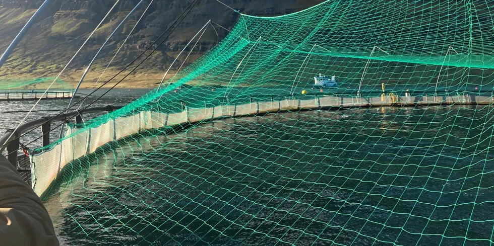 Ice Fish Farm harvested a total of 1,117 metric tons during the period, up slightly from the same period a year ago.