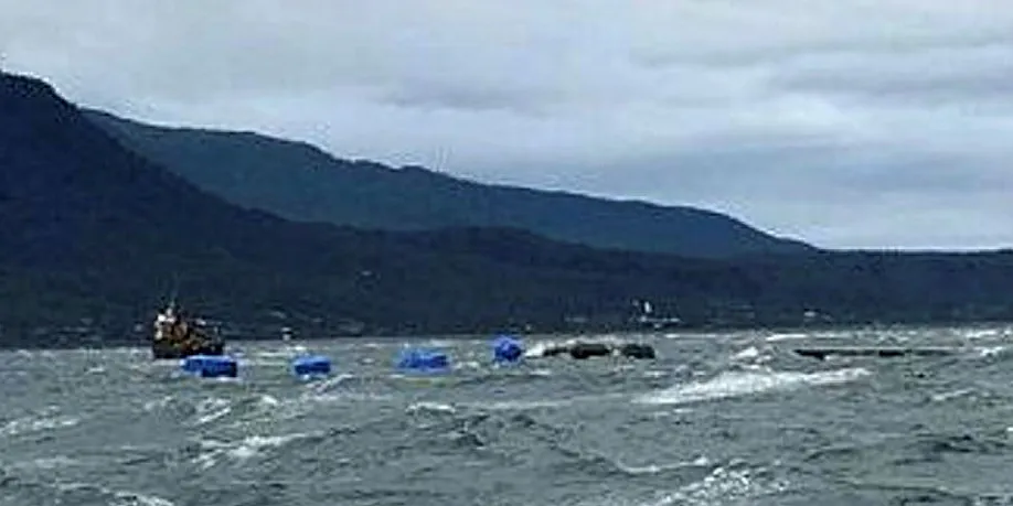Chile's National Fisheries and Aquaculture Service (Sernapesca) is monitoring Blumar contigency operation on a daily basis.