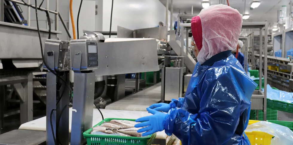 Pacific Seafood's rebuilt processing facility for whiting in Warrenton, Oregon.