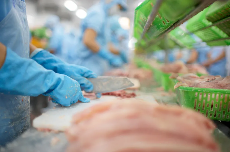 Supply of pangasius is expected to climb 5.6 percent in 2025.