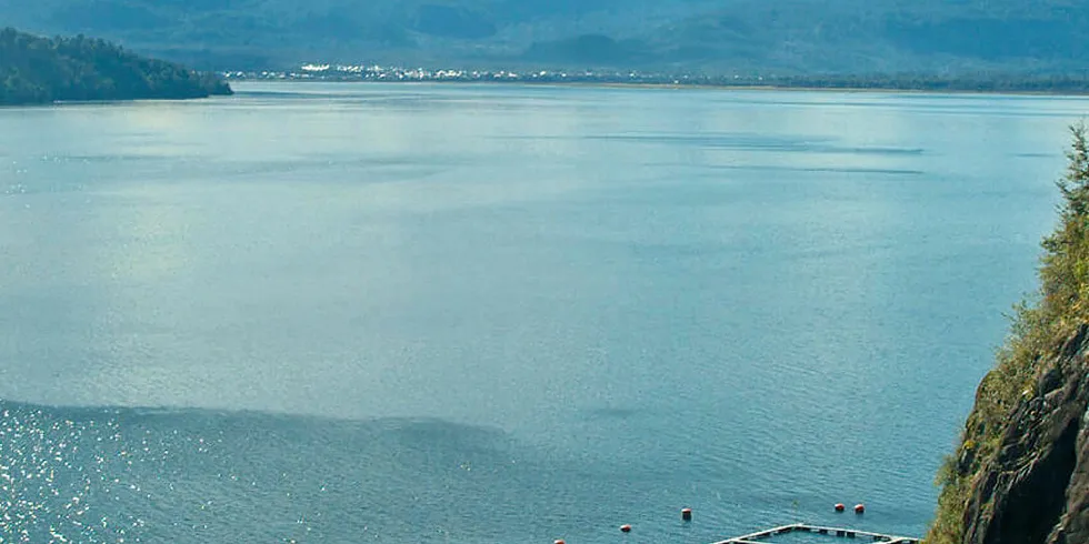 Chilean salmon farm tests positive for deadly ISA virus