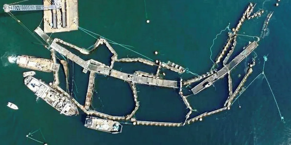 In August 2017, a netpen owned by Cooke Aquaculture near Cypress Island in Washington state failed and released tens of thousands of non-native Atlantic salmon into the surrounding water
