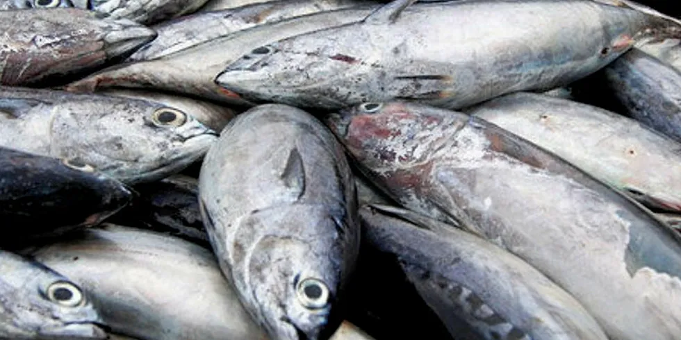 Ecuadorian fisheries are under caution from the EU.