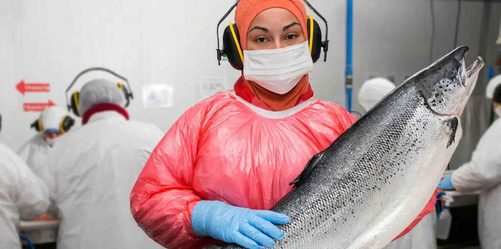 Several companies have paused operations in the Quellon region to stem the spread of the coronavirus among workers.