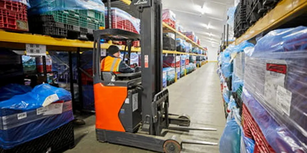 Tight warehouse space and high inventories bought at higher prices are currently a chicken and egg problem for shrimp exporters.