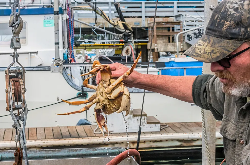 Pacific Seafood's Dungeness Crab operations were under scrutiny in a California court.