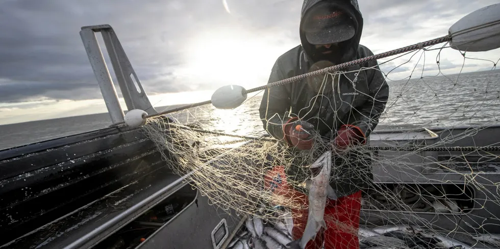 Unlike most seasons, Bristol Bay fishermen have some idea this year of what the base price will be for the fish they catch.