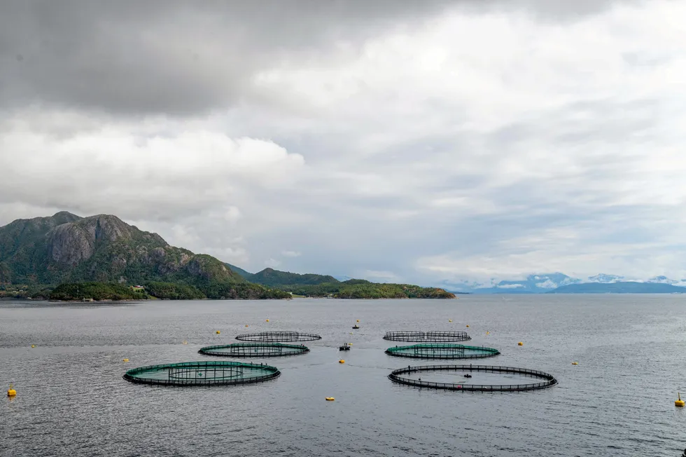 Leroy has deployed recapture nets at the site. The picture is not related to the article.