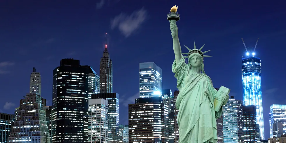 Manhattan Skyline and The Statue of Liberty at Night, New York City . NYC.