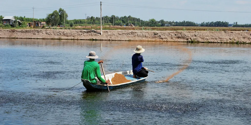 Pharmaq Vietnam pangasius.
